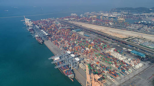 冷凍榴蓮肉進(jìn)口報關(guān)[案例]