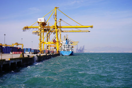 牛油果進(jìn)口報關(guān)[案例]